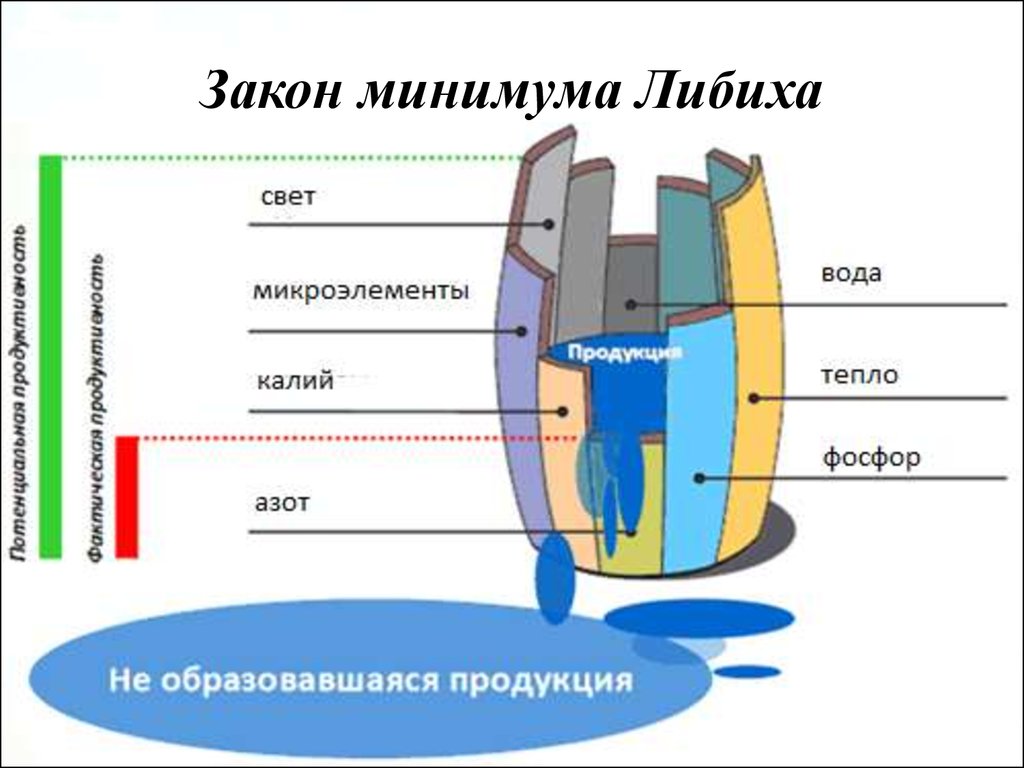 Закон минимума либиха рисунок