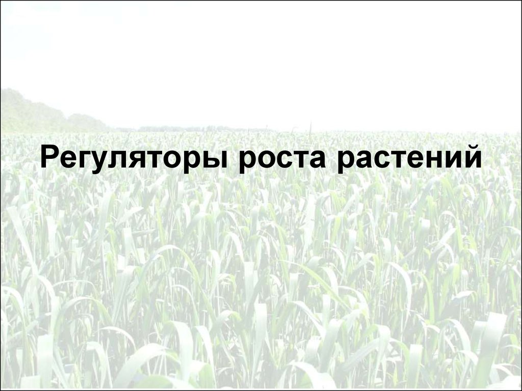 Регуляторы роста и развития растений презентация