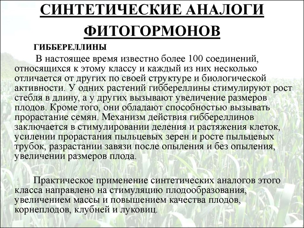 Действие фитогормонов на растение