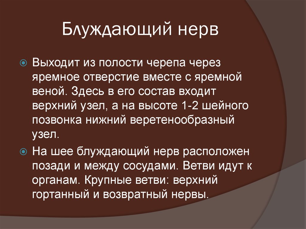 Блуждающий нерв отзывы. Блуждающий нерв. Блуждающий нервы. Блуждающий нерв выходит из черепа. Блуждающий нерв откуда выходит.