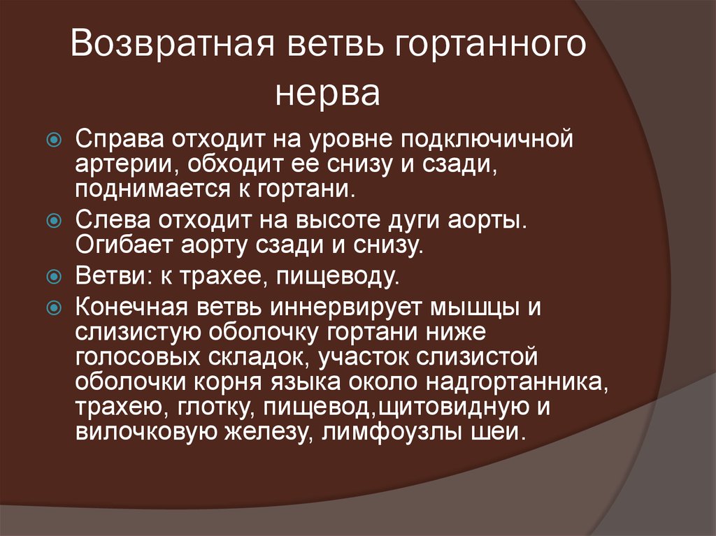 Гортанный. Возвратный гортанный нерв. Возвратный нерв иннервирует. Возвратные гортанные нервы. Возвратные нервы иннервируют.