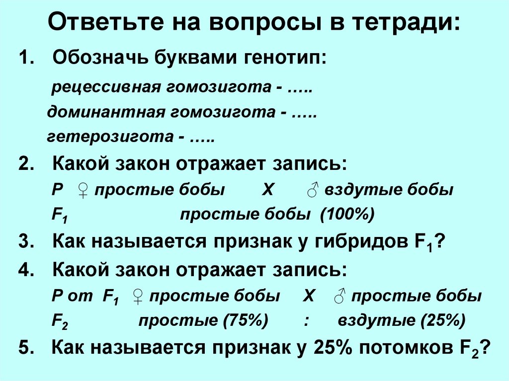 Вопросы в тетради. Рецессивная гомозигота. Гомозигота по рецессивному признаку обозначается. Гомозигота по доминантному признаку это. Доминантная гомозигота.