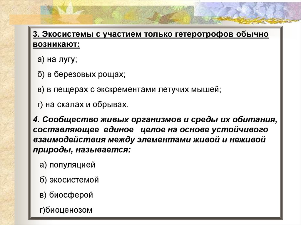 Презентация экосистема устойчивость и динамика. Устойчивость и динамика экосистем. Динамика экосистем.