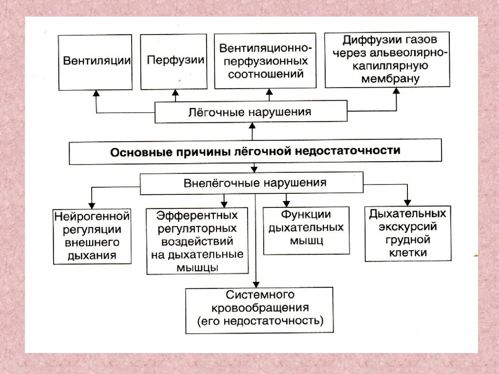 Патофизиология дыхательной системы презентация