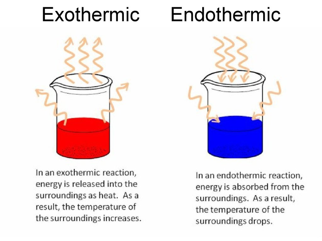 Exothermic Endothermic