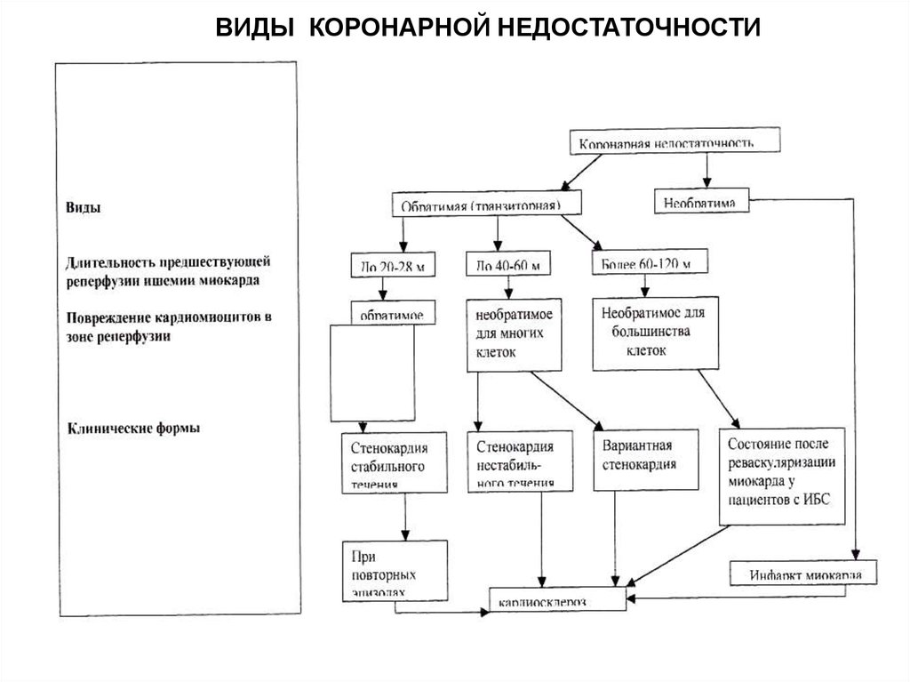 Синдром коронарной недостаточности презентация - 96 фото