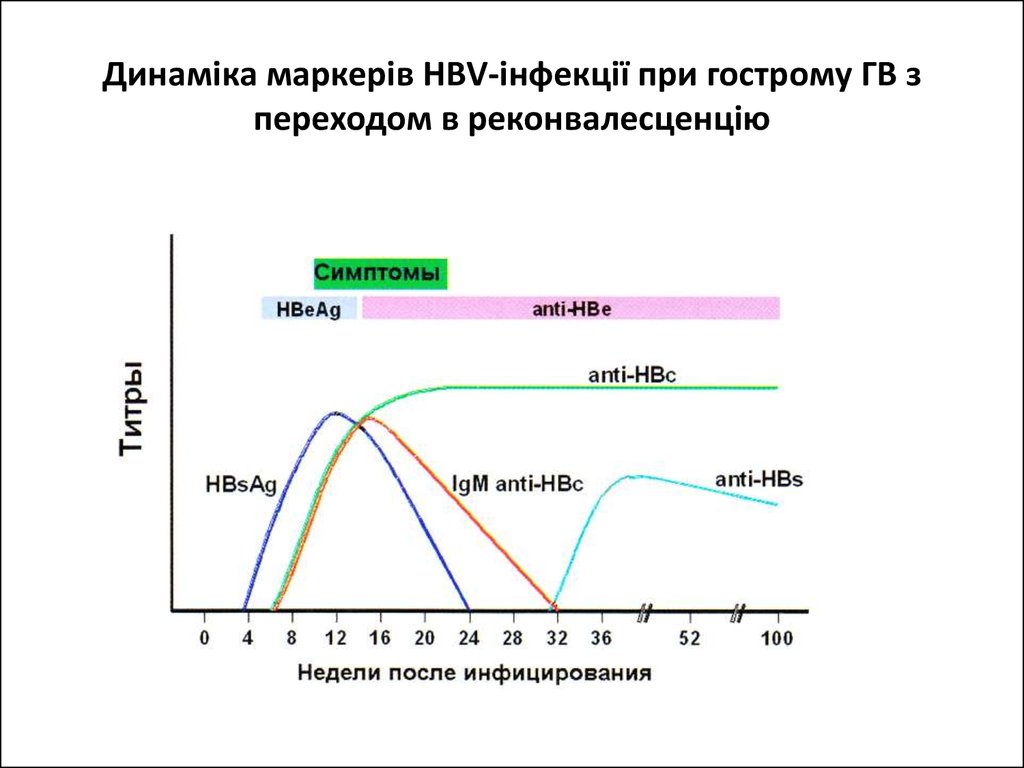 Динаміка маркерів HBV-інфекції при гострому ГВ з переходом в реконвалесценцію