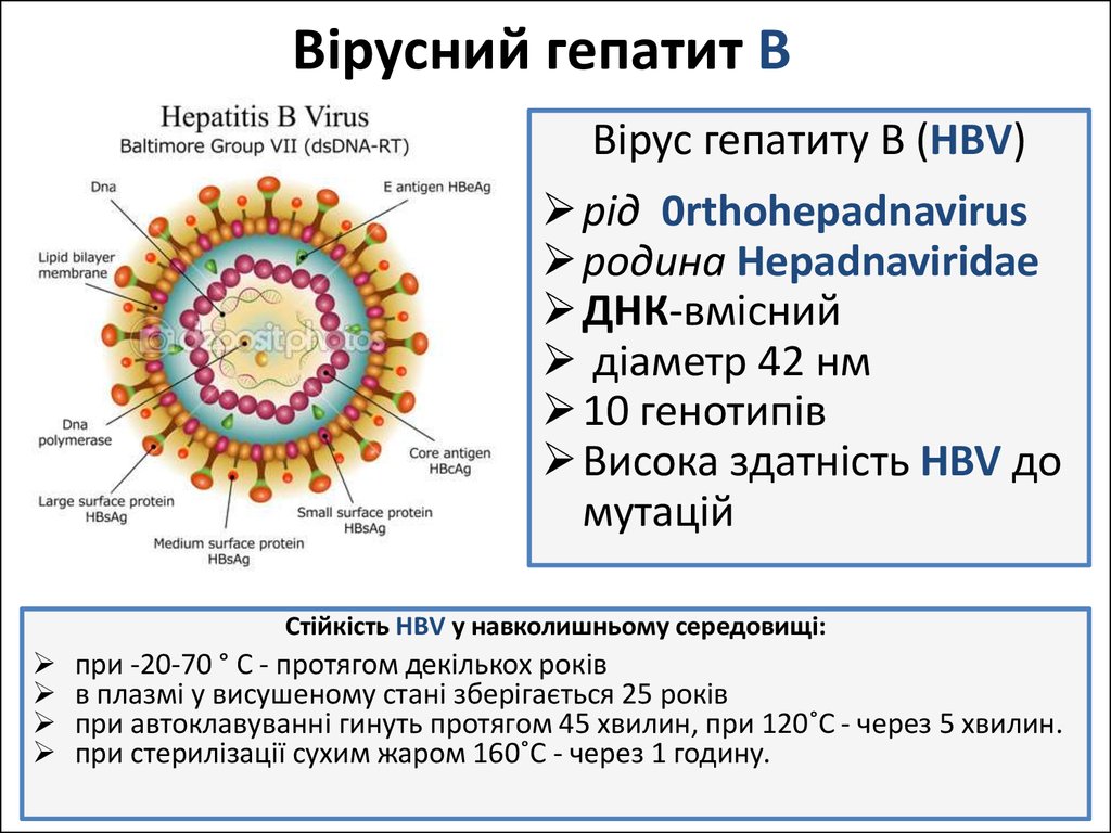 Вірусний гепатит В