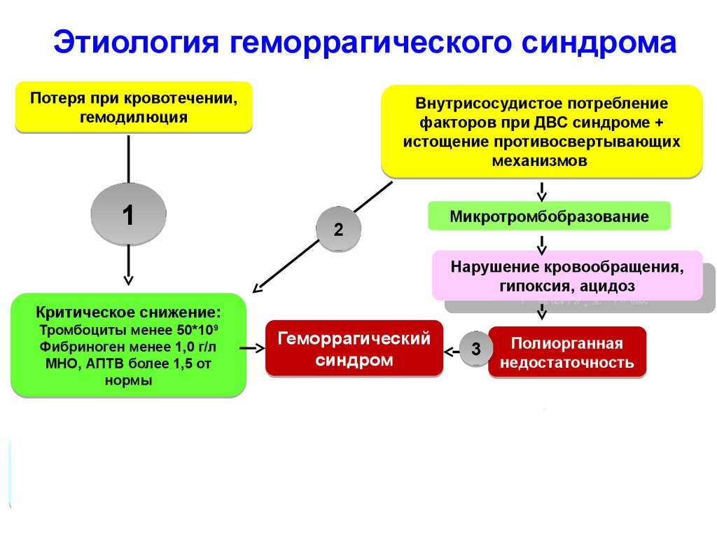 Геморрагический синдром. Механизм развития геморрагического синдрома. Геморрагический синдром этиология. Патогенез геморрагического синдрома. Патогенез развития геморрагического синдрома.