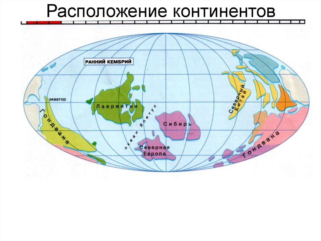 Расположите материки