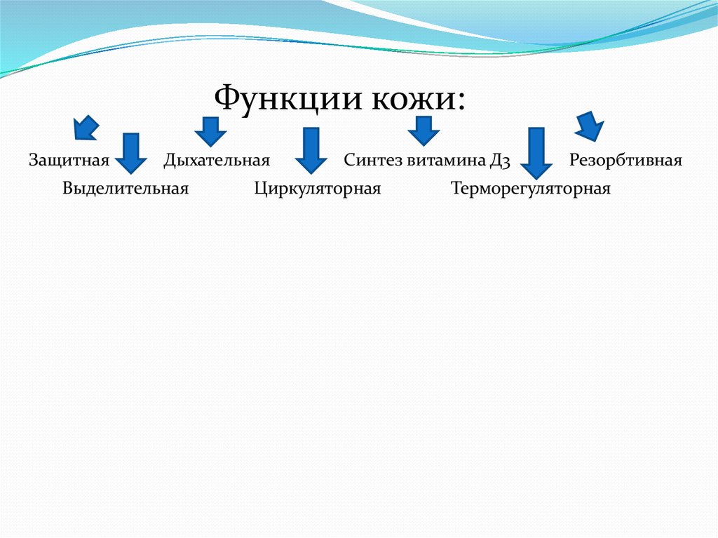 3 назовите основные качества питч презентации