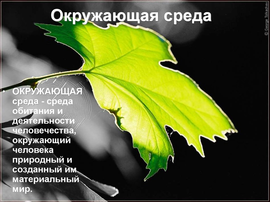 Окружающее затем. Защита среды обитания. Взаимодействие человека и среды обитания картинки. Искусственная среда обитания человека фото. Среда обитания человека фото к презентации без надписей.