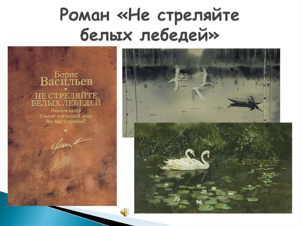 Картинка книги не стреляйте в белых лебедей