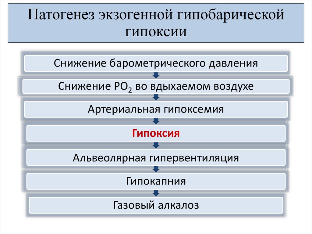 Механизм развития дыхательной гипоксии. Патогенез гипоксии. Экзогенная гипоксия механизм развития. Гипоксическая гипоксия патогенез. Патогенез экзогенной гипоксии.