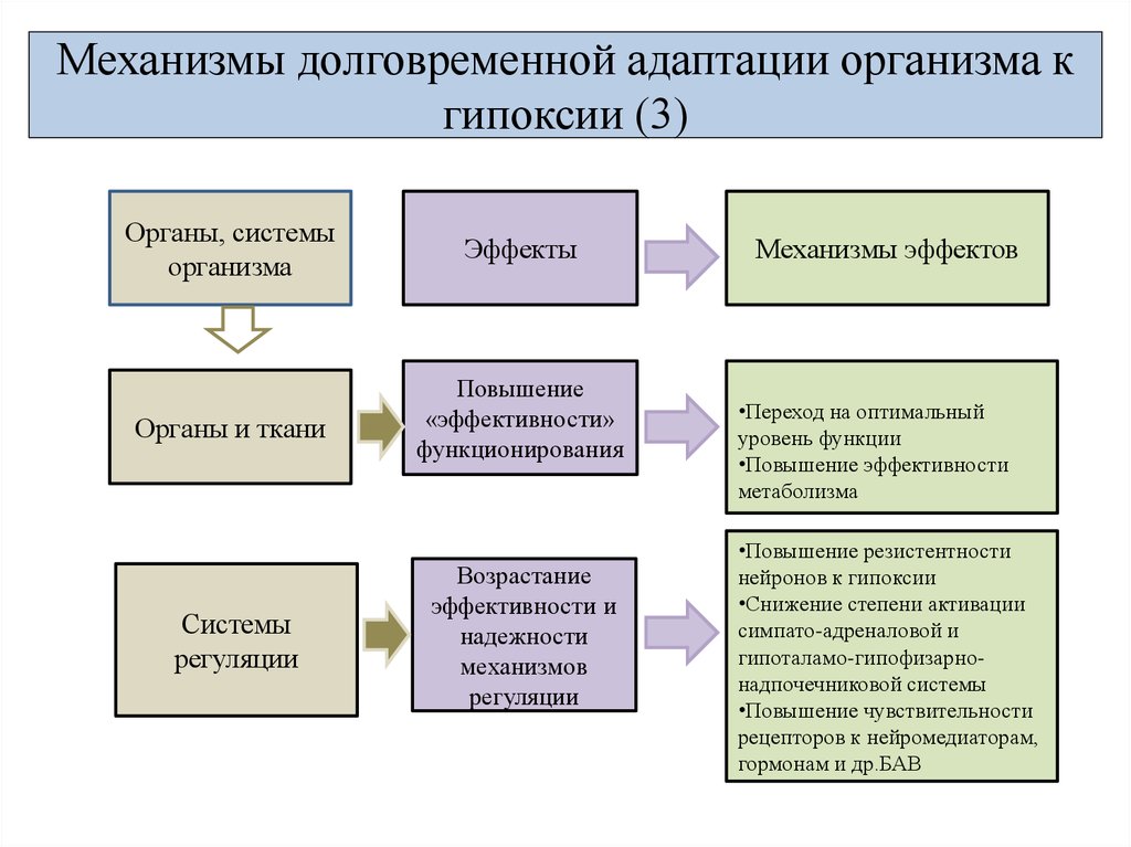 Схема развитие срочных компенсаторно приспособительных реакций при остро развивающейся гипоксии