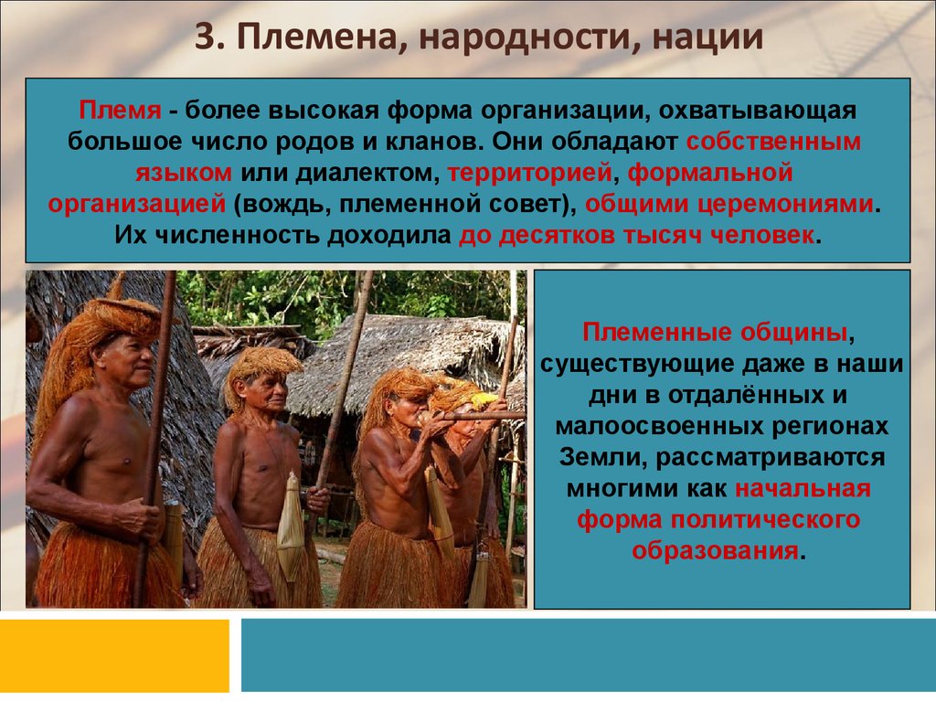 Расскажите о жизни этих племен. Этнос племя народность нация. Племена и народности это. Признаки племени. Племя характеристика.