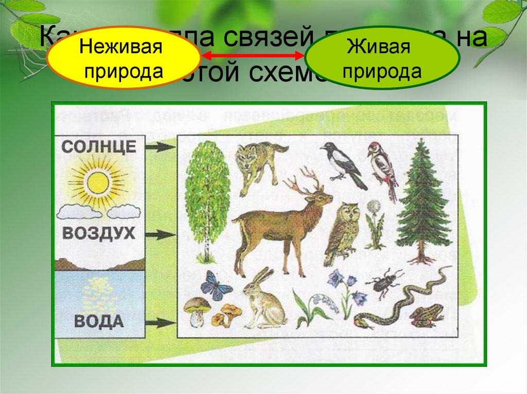 Схема невидимых нитей в весеннем лесу схема 2