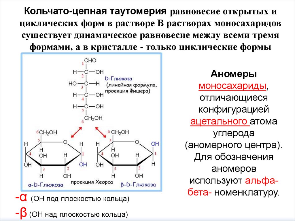 Циклические цепи. Кольчато-цепная таутомерия углеводов. Цикло-цепная таутомерия углеводов. Кольчато-цепная таутомерия Глюкозы и фруктозы. Кольчато-цепная таутомерия d-рибозы.