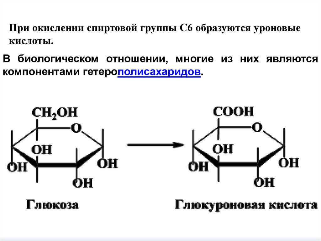 Глюкуроновая кислота для чего. Цито-оксо-таутомерия Целлобиозы. Формула д глюкуроновой кислоты. Галактуроновая кислота формула. Целлобиоза класс органических соединений.