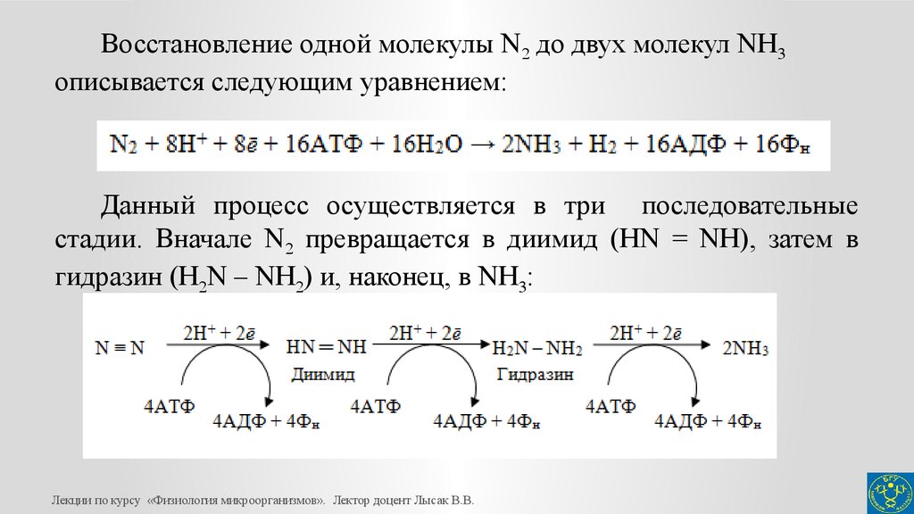 Молекулярная азота равна