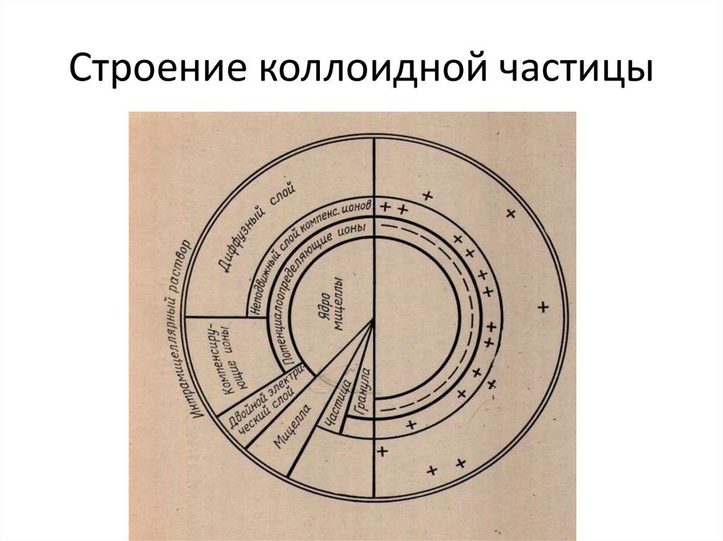 Схема строения коллоидной частицы