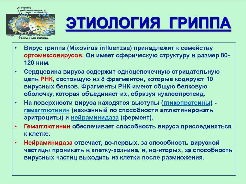 Диагноз грипп. Грипп этиология эпидемиология. Патогенез вируса гриппа. Этиология, патогенез, клиника, лечение и профилактика гриппа. Грипп этиология патогенез.