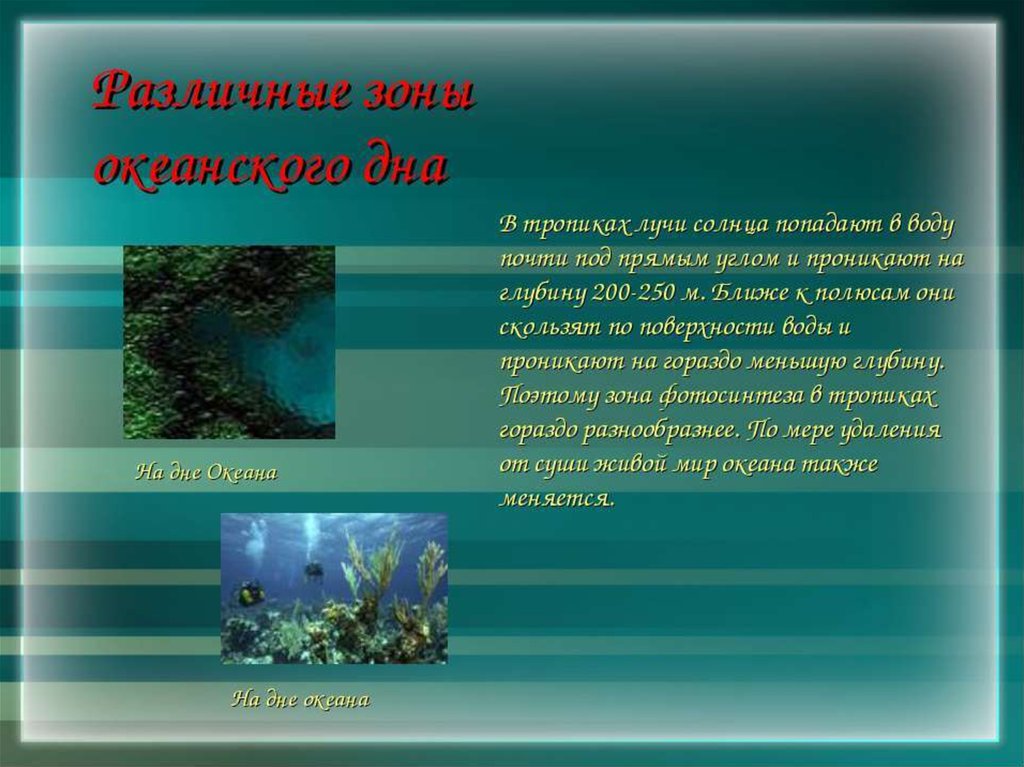 Проект Жизнь в полярных поясах и в океане. Работу выполнила учитель начальных кл