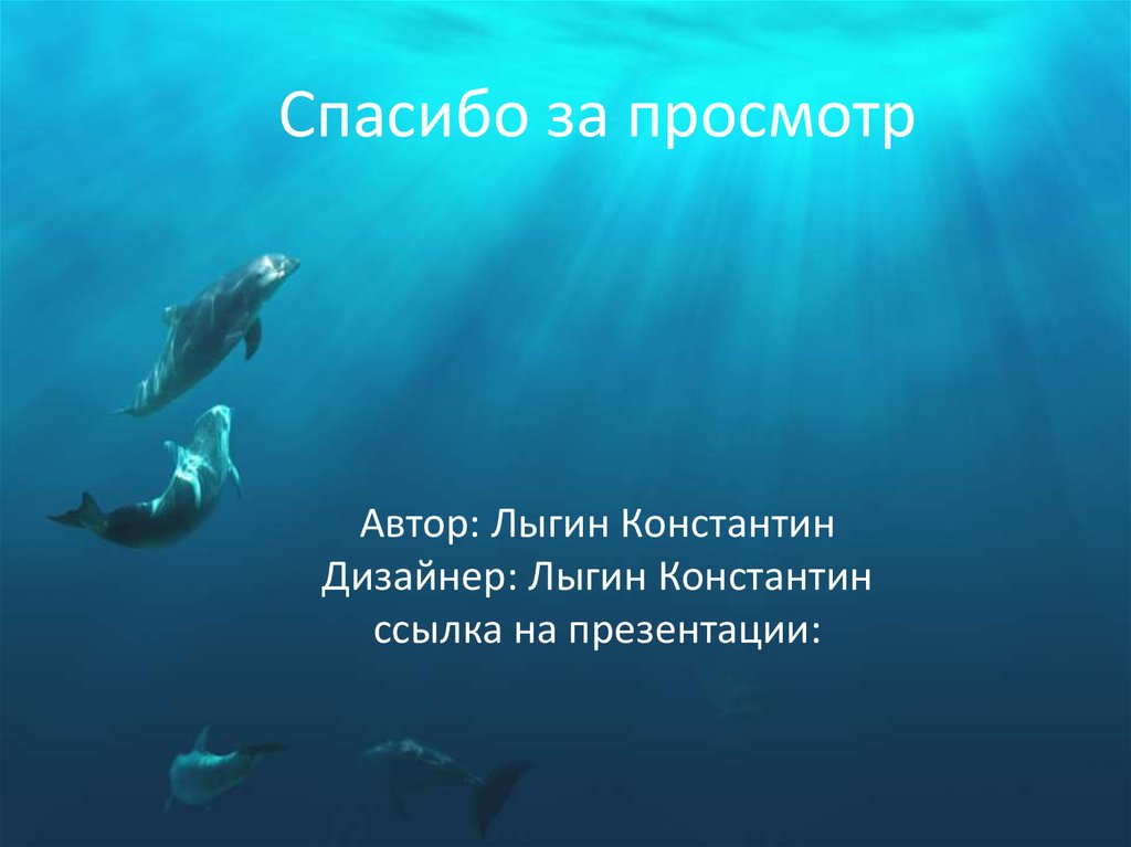 Спасибо за просмотр Автор: Лыгин Константин Дизайнер: Лыгин Константин ссылка на презентации: