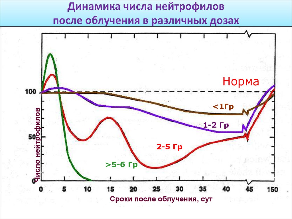 Пса после облучения