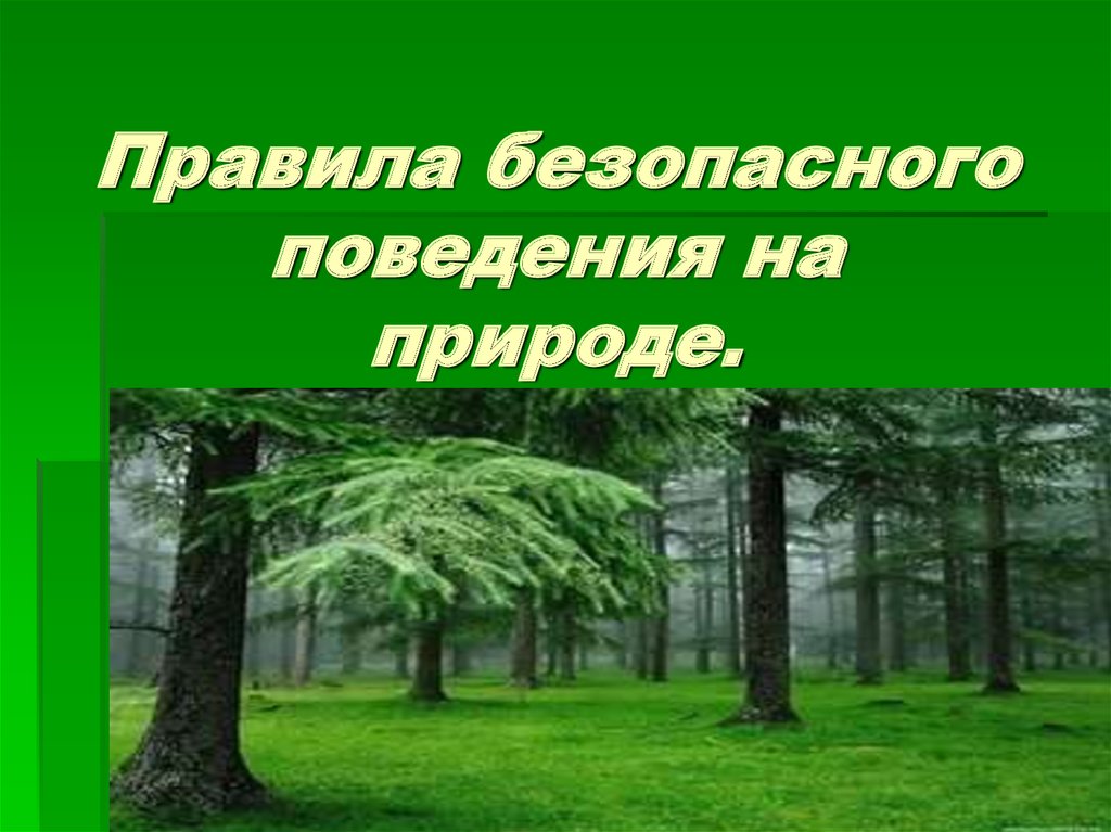 Правила безопасного поведения в природе презентация