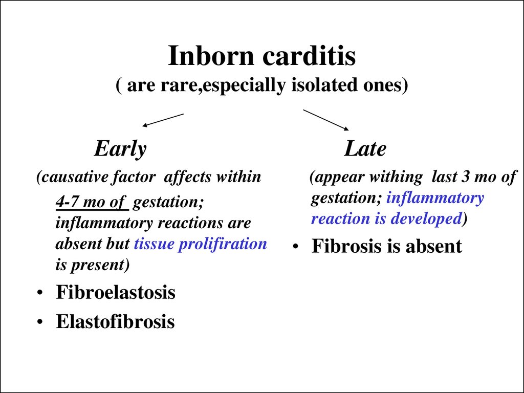 Inborn carditis ( are rare,especially isolated ones)