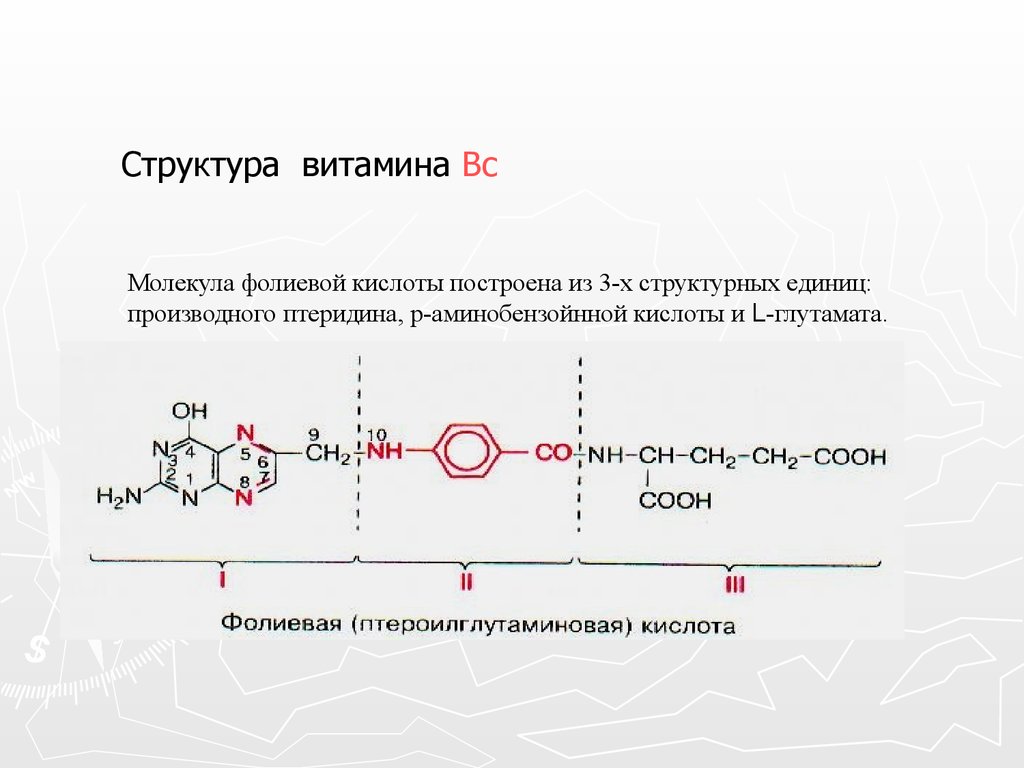 Формула фолиевой кислоты. Структурные единицы фолиевой кислоты. Молекула фолиевой кислоты. Витамин с строение молекулы. Строение фолиевой кислоты.