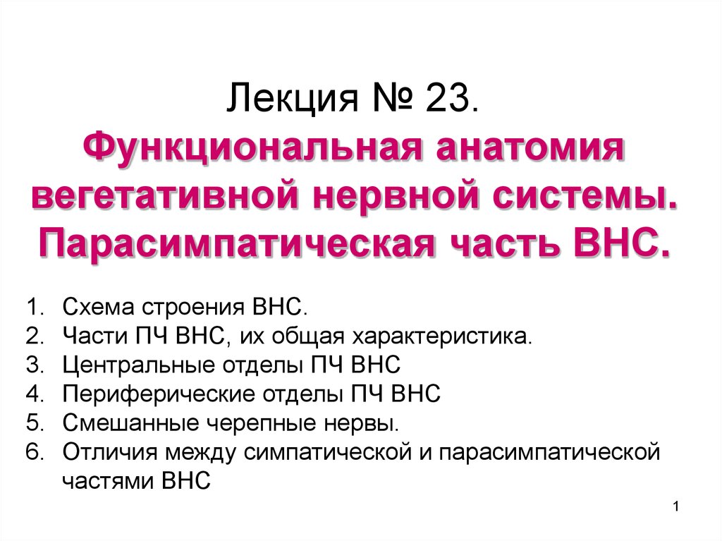 Функциональная анатомия вегетативной нервной системы презентация