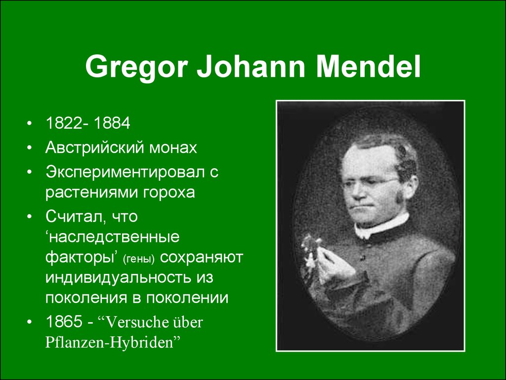 Отец генетики грегор иоганн мендель проект 11 класс