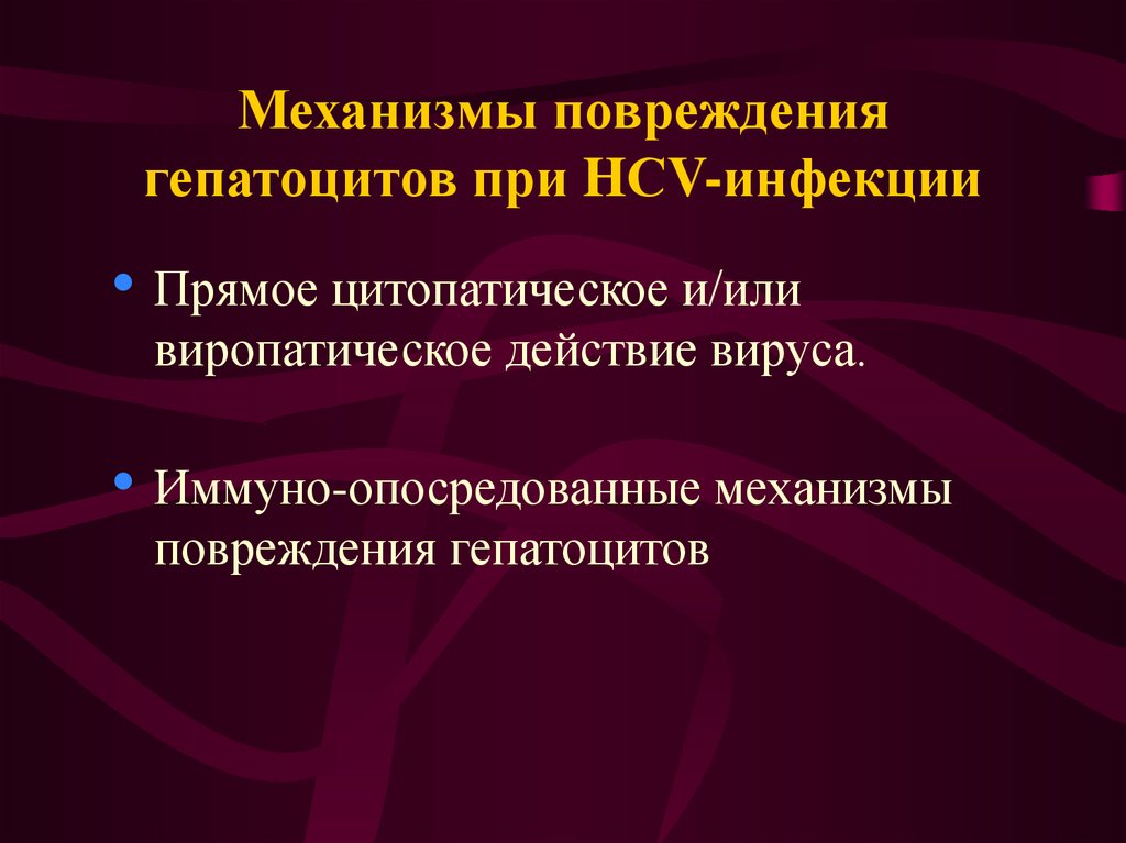 Механизм повреждения. Механизмы опосредованного повреждения вирусов. Механизмы повреждения гепатоцитов. Механизм повреждения гепатоцитов этанолом. Механизм повреждения гепатоцитов при гепатите.