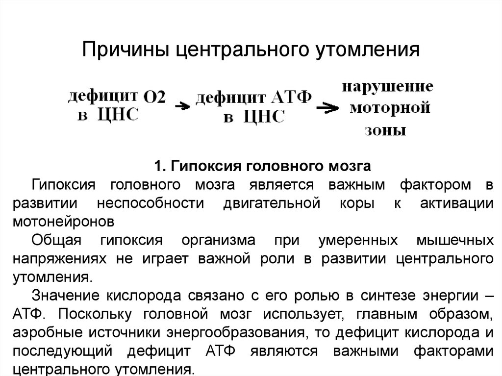 Утомление цнс. Центральное утомление. Причины физического утомления. Причины формирования утомления. Факторы центрального утомления.