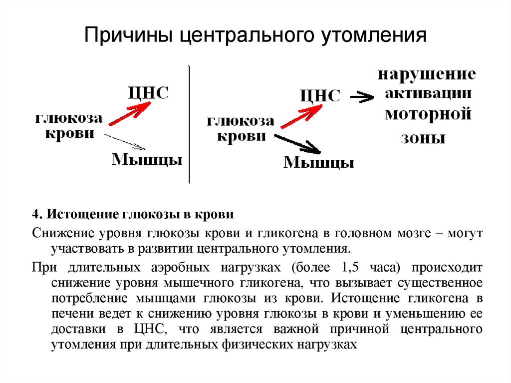 В чем причина развития утомления мышц. Глюкоза в крови при физических нагрузках. Уровень Глюкозы в крови при физической нагрузке. При физ нагрузке уровень Глюкозы. Кровь при физической нагрузке.