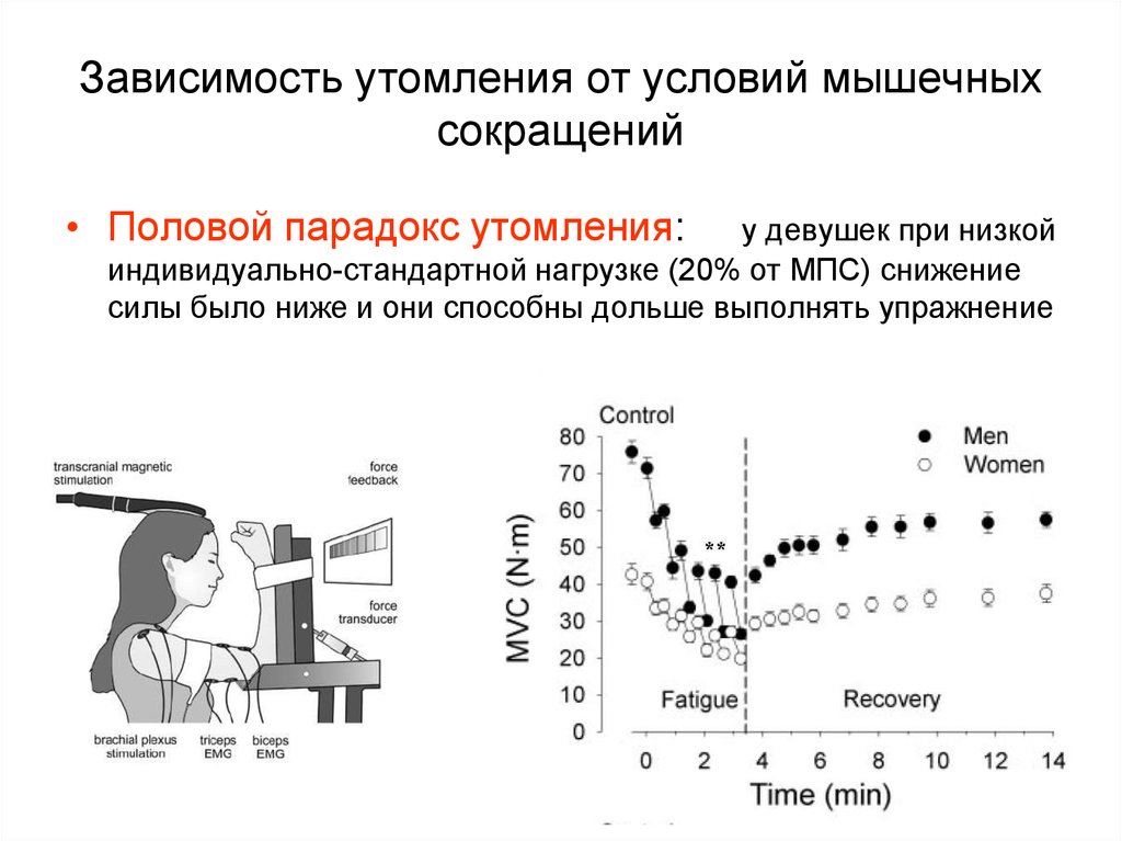 Сокращение нагрузки. Усталость при физической нагрузке. Утомление зависит от. Зависимость от физических нагрузок. Условия утомления это.