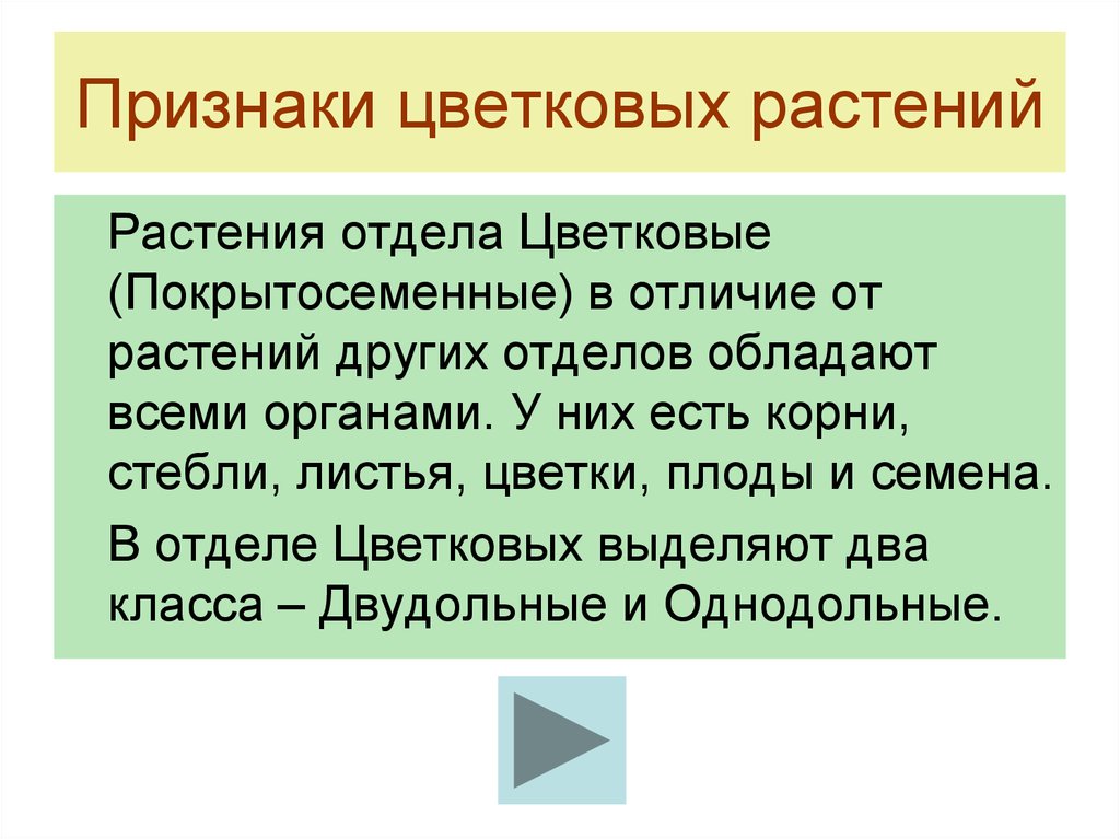 Признаки цветковых. Признаки цветковых растений. Признаки растений отдела цветковые. Признаки отдела цветковых растений. Признаки покрытосеменных цветковых растений.