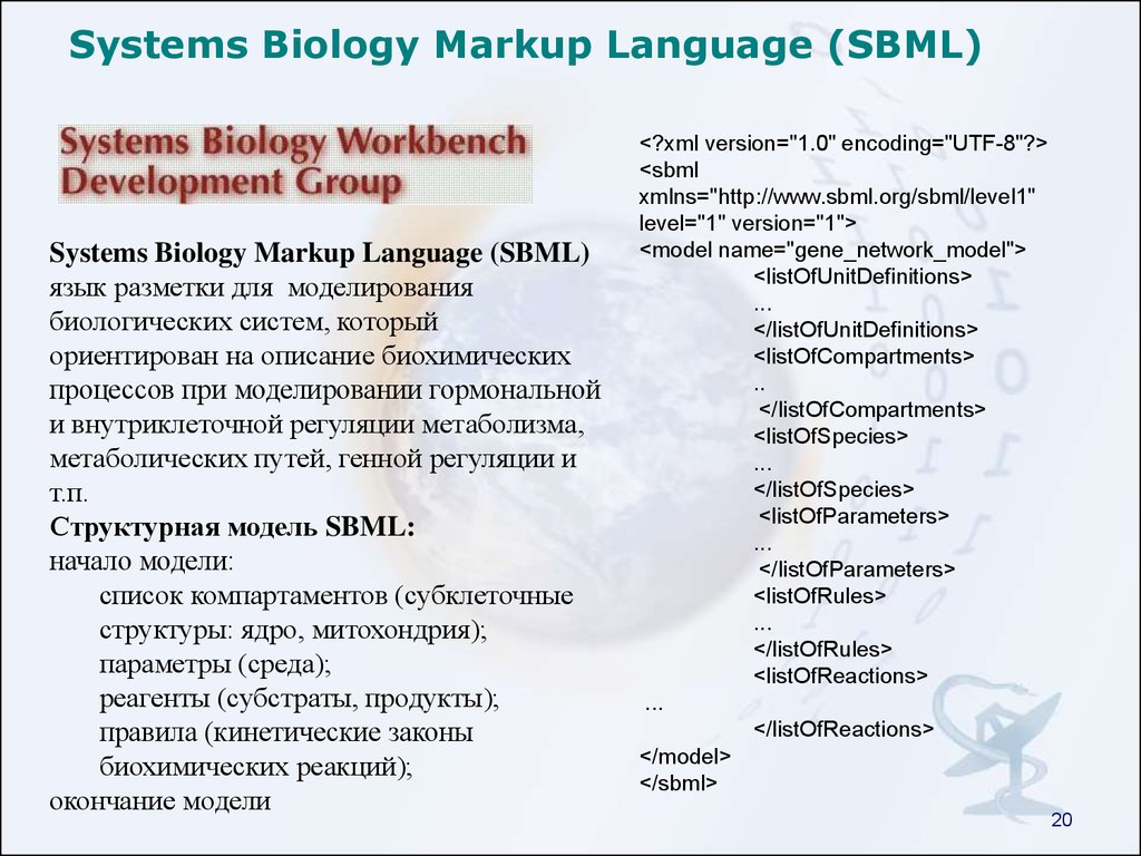 Systems Biology Markup Language (SBML)
