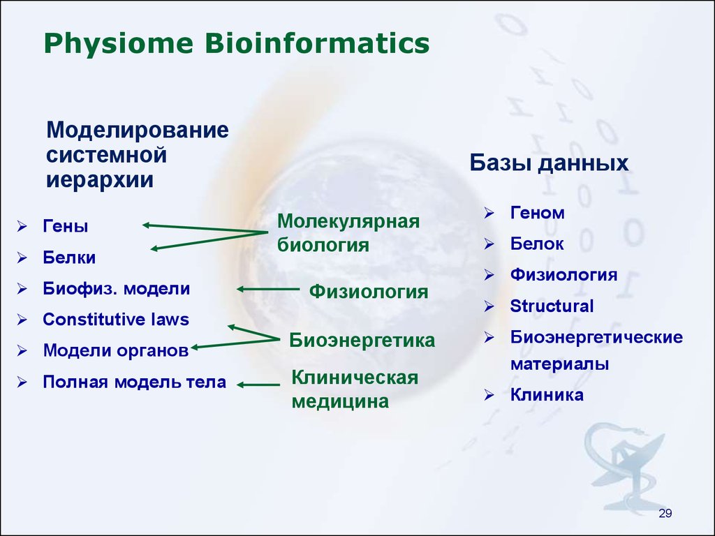 Physiome Bioinformatics