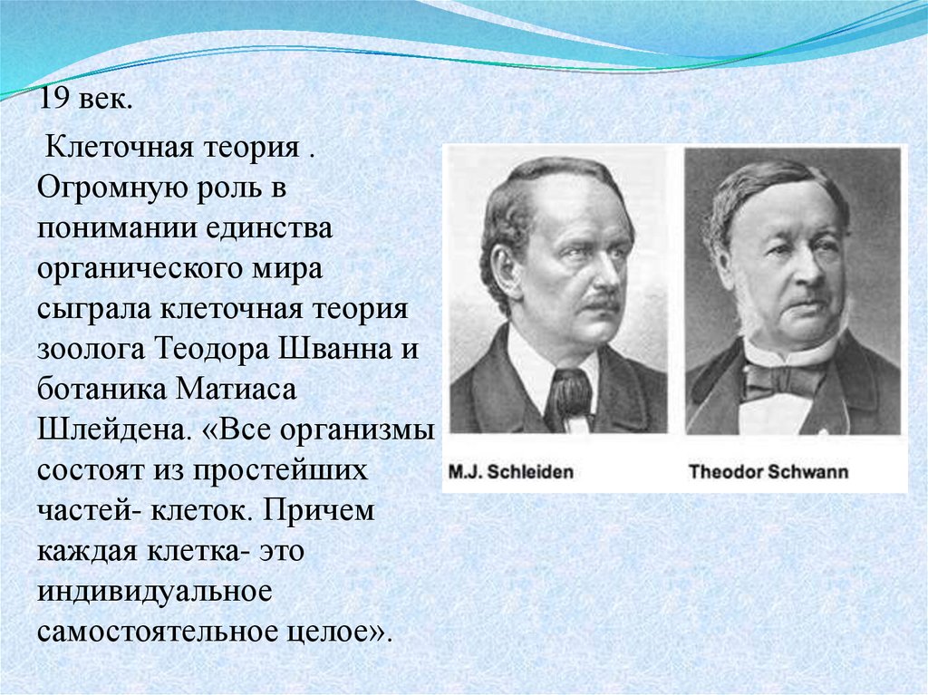 Клеточная теория кто. Клеточная теория Теодора Шванна. Клеточная теория Теодора Шванна и Маттиаса Шлейдена. Шлейден клеточная теория кратко. Шлейден и Шванн клеточная теория.