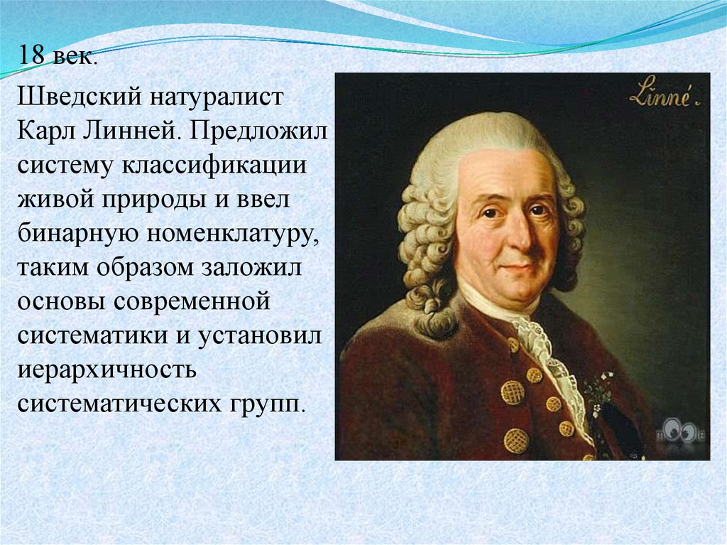 Систематика основоположник систематики. Карл Линней основоположник систематики. Карл Линней - французский ученый, основоположник систематики. Карл Линней основатель систематики. Основоположник систематики к. Линней.