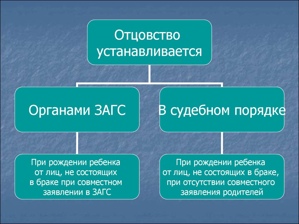 Презумпция отцовства