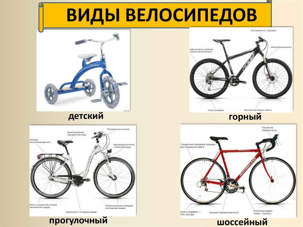 Как отличить велосипеды. Виды велосипедов. Классификация велосипедов. Классификация современных велосипедов. Велосипеды по видам.