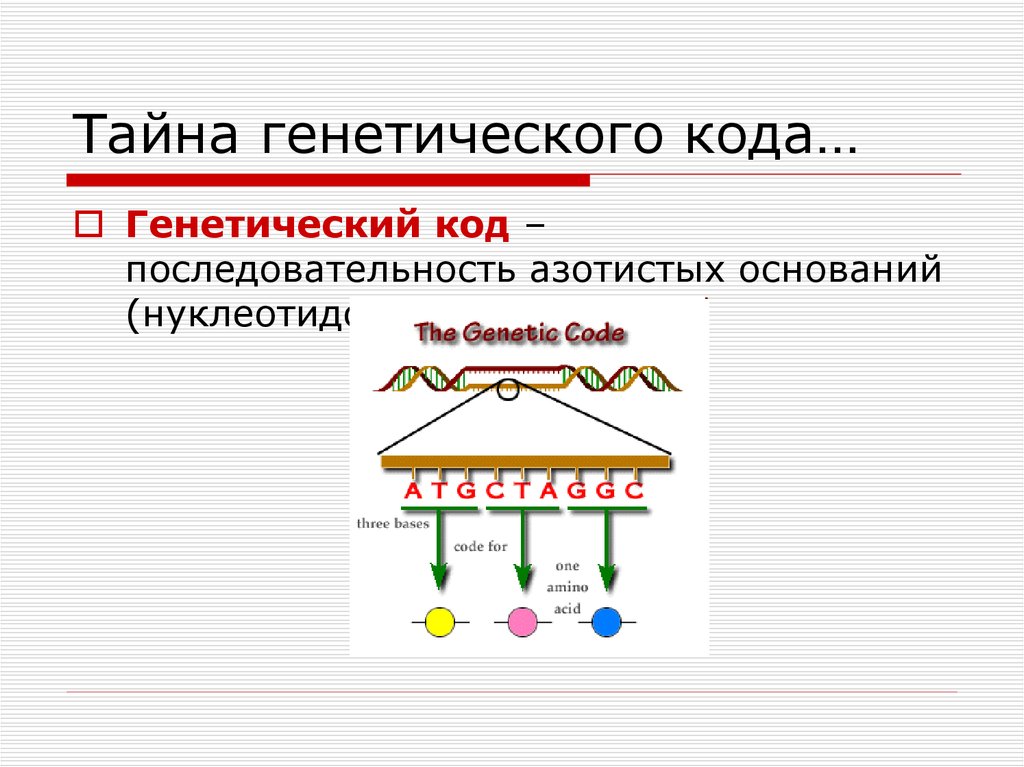 Числа триплеты. Секреты генетического кода. Коллинеарность генетического кода. Квазиуниверсальность генетического кода. Триплет это в генетике.