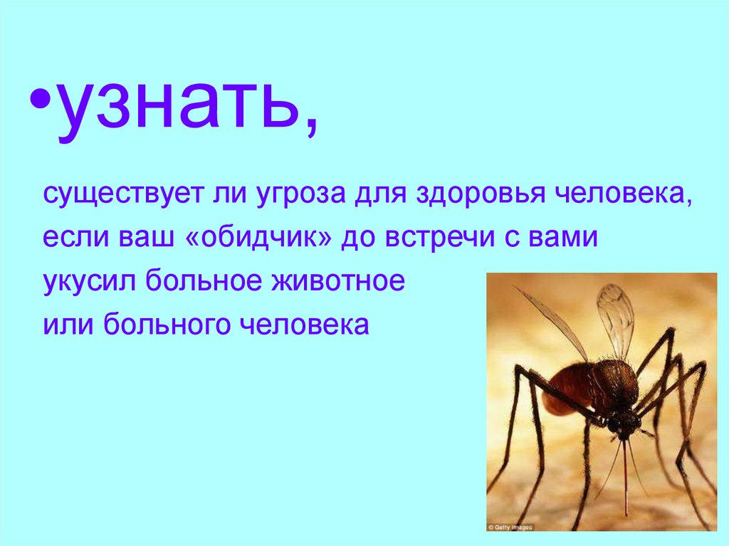 Визуальную информацию несет вкус яблока звук грома картина комариный укус