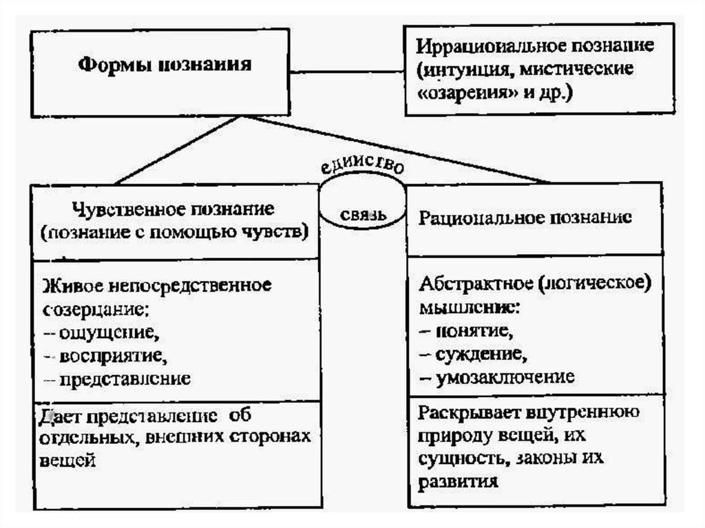 Виды познания схема в философии