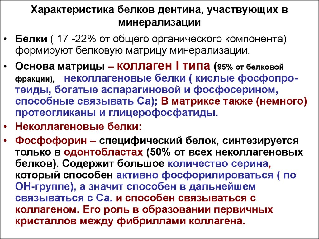 Характеристика белков. Белки кости. Роль в минерализации. Органические компоненты дентина. Белковая матрица дентина.