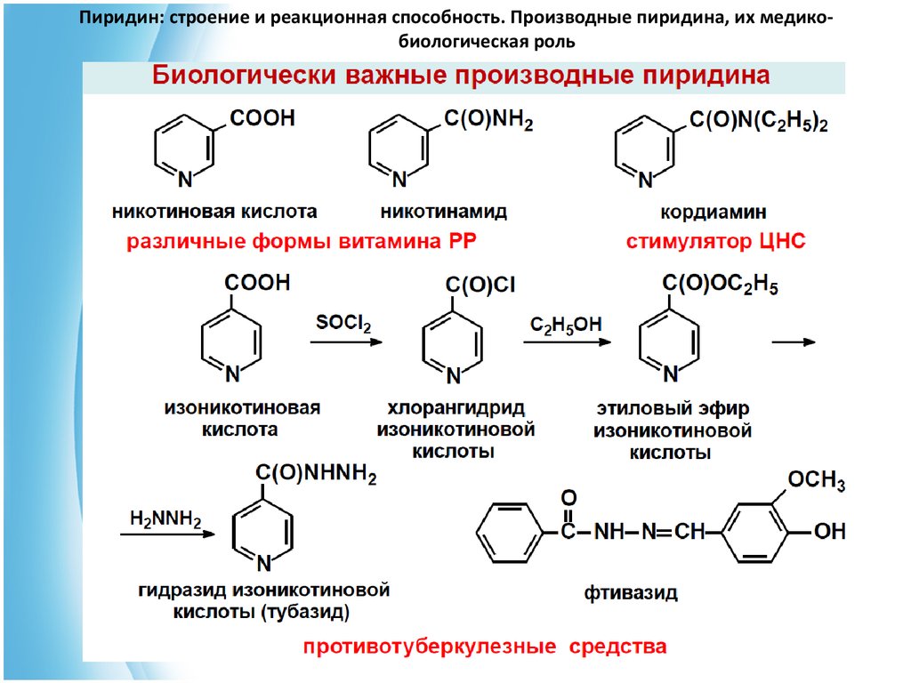 Строение и роль. Биологически важные производные пиридина. Пиридин структурная формула. Строение пиридина гетероциклических соединений. Производные пиридина: α-, β-, γ-пиколины.